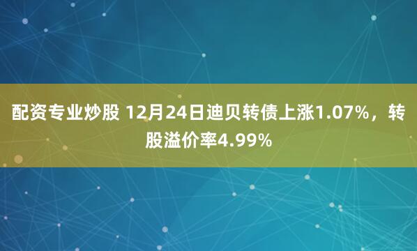 配资专业炒股 12月24日迪贝转债上涨1.07%，转股溢价率4.99%