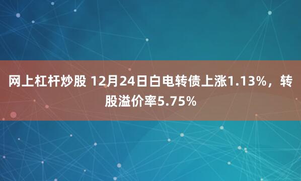 网上杠杆炒股 12月24日白电转债上涨1.13%，转股溢价率5.75%