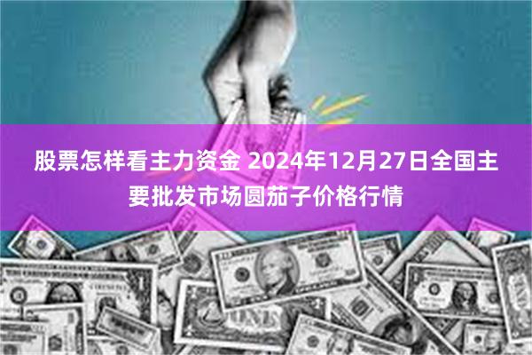 股票怎样看主力资金 2024年12月27日全国主要批发市场圆茄子价格行情