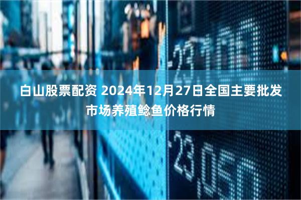 白山股票配资 2024年12月27日全国主要批发市场养殖鲶鱼价格行情