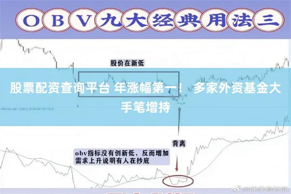 股票配资查询平台 年涨幅第一！ 多家外资基金大手笔增持