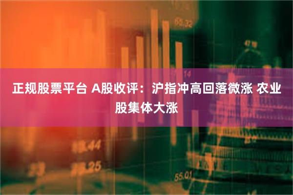 正规股票平台 A股收评：沪指冲高回落微涨 农业股集体大涨