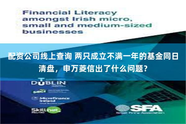 配资公司线上查询 两只成立不满一年的基金同日清盘，申万菱信出了什么问题？