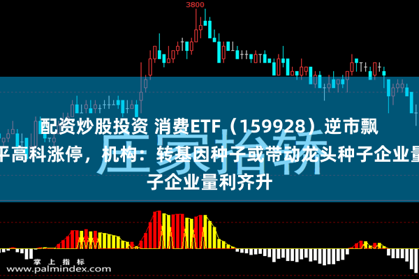 配资炒股投资 消费ETF（159928）逆市飘红，隆平高科涨停，机构：转基因种子或带动龙头种子企业量利齐升