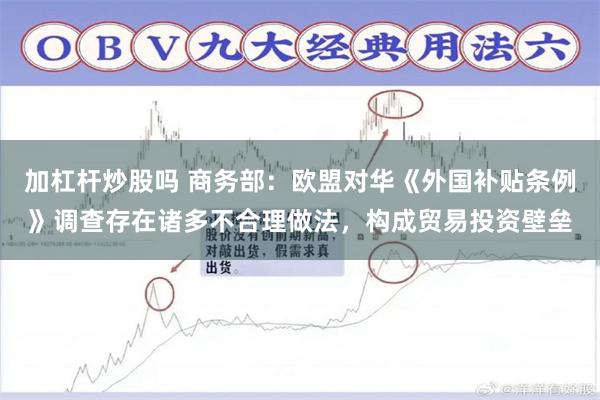 加杠杆炒股吗 商务部：欧盟对华《外国补贴条例》调查存在诸多不合理做法，构成贸易投资壁垒