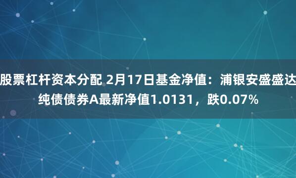 股票杠杆资本分配 2月17日基金净值：浦银安盛盛达纯债债券A最新净值1.0131，跌0.07%