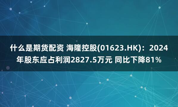 什么是期货配资 海隆控股(01623.HK)：2024年股东应占利润2827.5万元 同比下降81%