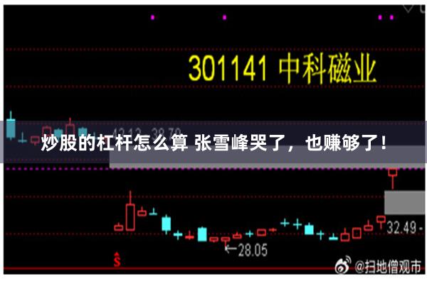 炒股的杠杆怎么算 张雪峰哭了，也赚够了！