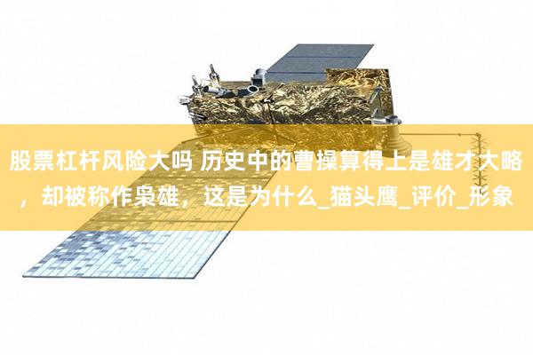 股票杠杆风险大吗 历史中的曹操算得上是雄才大略，却被称作枭雄，这是为什么_猫头鹰_评价_形象